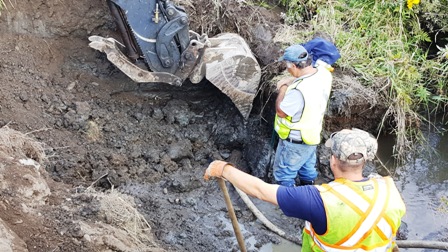 excavator digging
