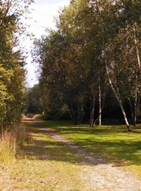 trail through Depot Park