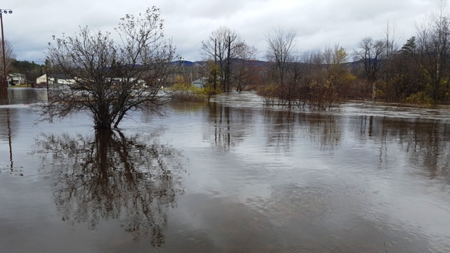 water level at Williams Field