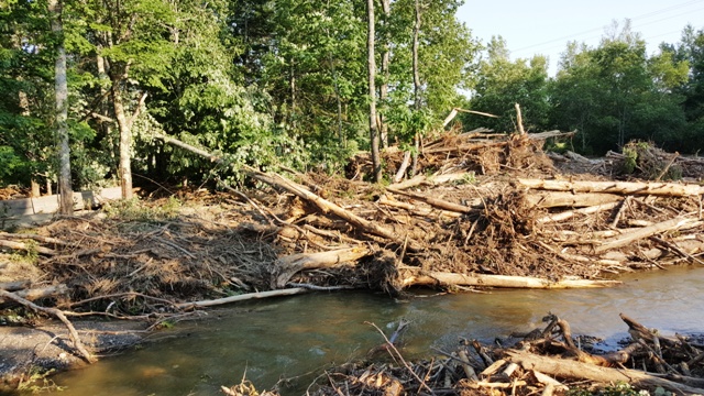 jammed logs