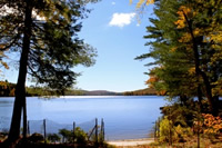 Goose Pond through the trees