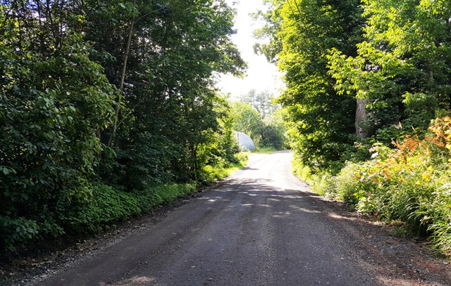 new ditches on Stevens Rd