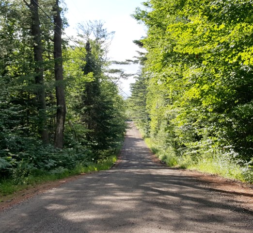 freshly graded Stevens Rd