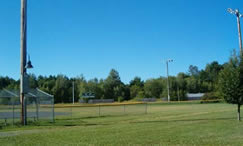 Williams Field mown and cleaned.