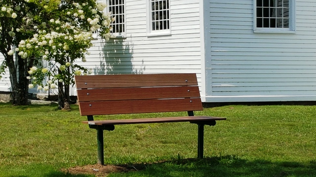 bench and flowering tree