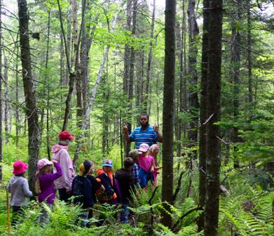 children in woods