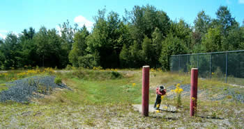 Flowers growing around a pipe extending from the ground.