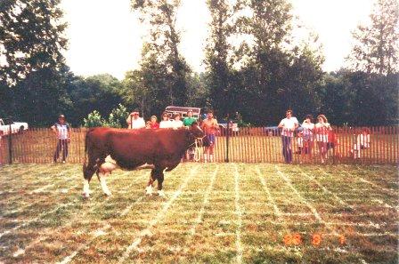 cow on cowflop grid