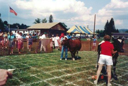 cowflop contest