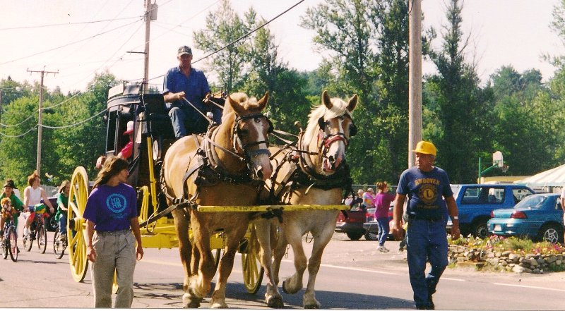 draft horses pulling a coach