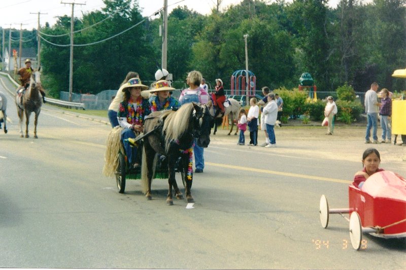 pony pulling car with 2 childern