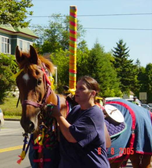 horse dressed to look like a carousel horse