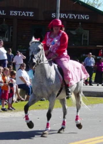 clown on a horse
