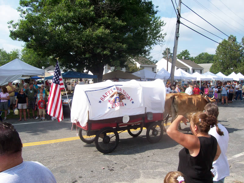 mini covered wagon pulled by yoked cows