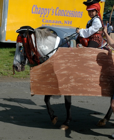 pirate horse