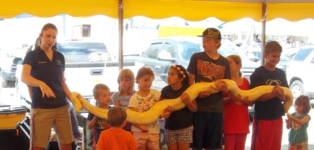 Animal Show