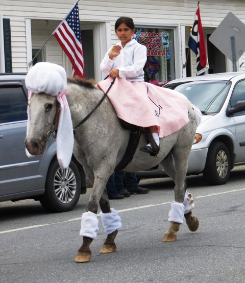 poodle skirt horse rider