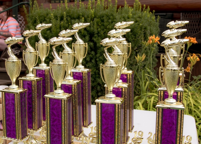 derby trophies