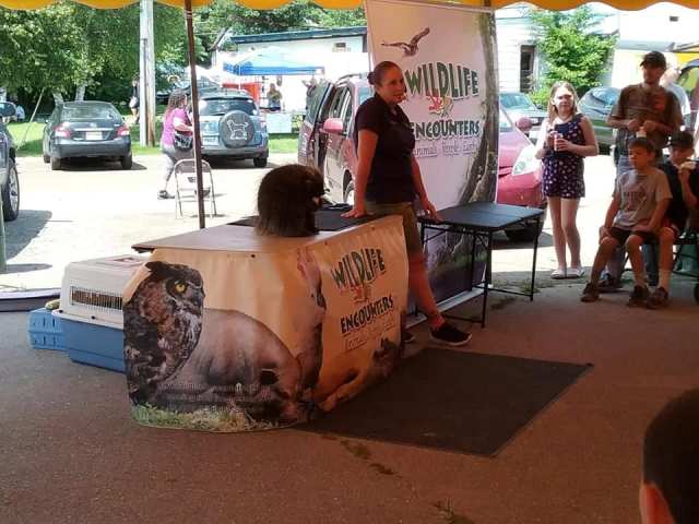 wildlife presentation